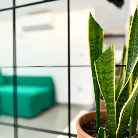 Nuevo Casco Antiguo, Playa Y Castillo